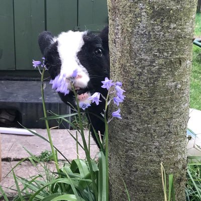 Music 🎼 (Radio Jock) 🎤Mechanics ✈️ Trucker 🚛Humour 🤪 IT 📲 Life Is For Living (Correspondent Limerick Leader & Vale Star)🤘#Gigs #IndieMusic 🎻 ☘️