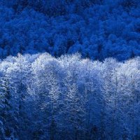 mike kura (@mike_kura) 's Twitter Profile