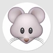 Noot Noot everybody! I’m a smol mouse proud resident of Rodentia 🐭 planning to go on a trip to BearBados 🐻 only need da money 💵 #MiceofTwitter