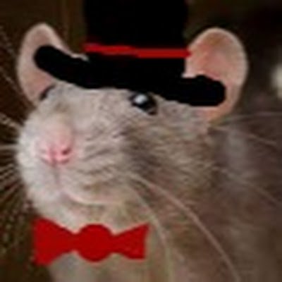 Edit19Tapto's profile picture. Your mom