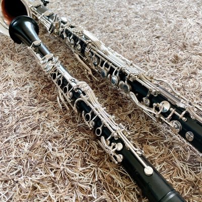 divine_cl's profile picture. アマチュアのクラ吹き。B♭/Divine、Alto/YCL-831、Bass/Prestage LowC 所有。クラの仕掛けは色々試したい派。 クラだけ集団に所属。吹奏楽の所属先は模索中。高校生双子男子の母。