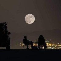 مجموعة إنسان 🇸🇦🇹🇷🇩🇪 (@rnrwx0ogbqfgd2k) Twitter profile photo