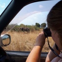 Africa Safari Tours(@AfricanTrips1) 's Twitter Profile Photo