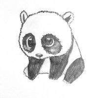 paperpanda9 (@paperpanda9) 's Twitter Profile