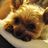 w124300e599's profile image