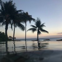 Hope User (@user_hope) 's Twitter Profile
