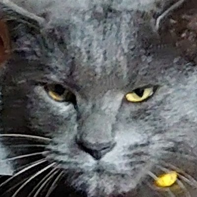 とっぽぎさんのプロフィール画像