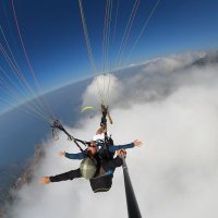Aykut B (@aykuttb41) 's Twitter Profile