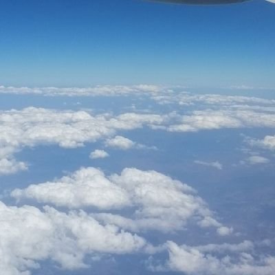 sevdaguluzun's profile picture. 