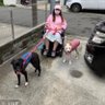 HellKo's profile picture. SNEP「Solitary Non-Employed Persons」「一人型孤立無業」 セーフティネットとは無縁の身体障害1級。精神障害2級。移動は電動車椅子WHILL。筋痛性脳脊髄炎(神経の難病)、ベーチェット病(指定難病)。認知症の母を絶賛介護中。