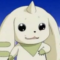 えぬ (@41cks) 's Twitter Profile