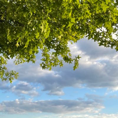Dr in Neuro rehabilitation interested in in physical activity and Telerehabilitation for stroke survivors.