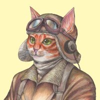 Scarecrow (@hot_bee_ball) Twitter profile photo