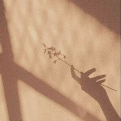 lovely__peachy's profile picture. 