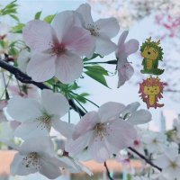 Haruka (@hrk8df14) 's Twitter Profile Photo Haruka (@hrk8df14) 's Twitter Profile Photo