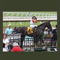 Jesse Cruz (@cruz_racing) 's Twitter Profile