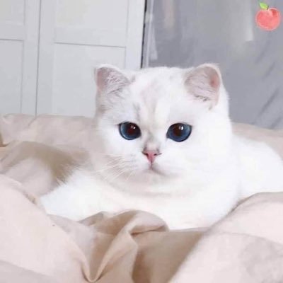chailoveworld's profile picture. 早安