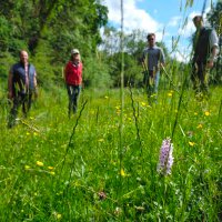 North East Cotswold Farmer Cluster (@necotscluster) 's Twitter Profile