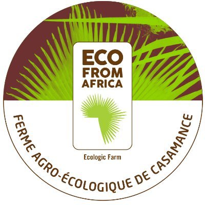 Star-Up #Agroécologique et #sociale basée en #Casamance, #Senégal - Initiatrice/Productrice de la #Fermeécole #Agro_Ecologique de #Casamance