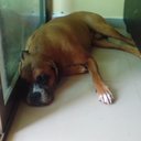 Max Enriquez - @MaxEnriquez16 - Twitter