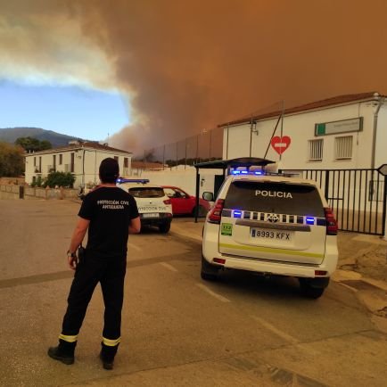 Técnico en Emergencias y Protección Civil
Técnico superior en Coordinación de Emergencias y Protección Civil
Técnico en Emergencias Sanitarias
🚒🏥🚑🚨👩🚒
93