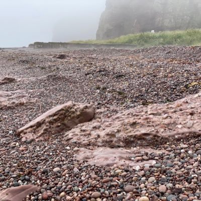 Here to promote the Scottish East coast from the Tay up to Stonehaven and nearby with its varied geology, archaeology, nature and culture