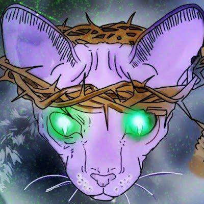 dvdseed in twitch