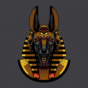 anub1sfps_'s profile picture. Excellentia est habitus