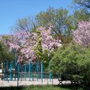 Robert Bilodeau - @RobertBilodea10 - Twitter