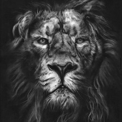 neto_morales1's profile picture. 