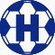 SV Houten 1.500 leden, met zaterdag en zondag competitie voetbal, 7 x 7 vrijdagcompetitie, walkingfootball 55+, vier, vijf en zes jarigen Blauwe Mini's.