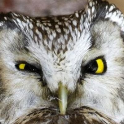 AL23464796's profile picture. 