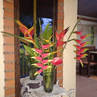 famartinezvera's profile picture. 