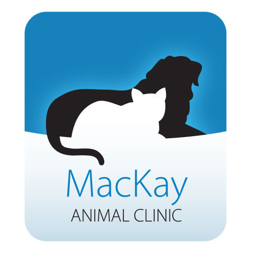 MacKay Animal Clinic has been a fixture in downtown Whitby for over 40 years!  We consider it a privilege to care for your pet.  Come and visit us today!