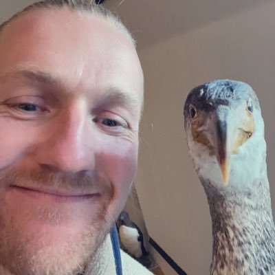 Head of Product & UX Design @Milkywire. I share stuff that inspires me and gets me thinking.
High 5!