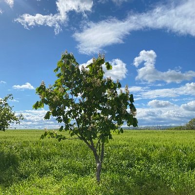 fleissner3's profile picture. 