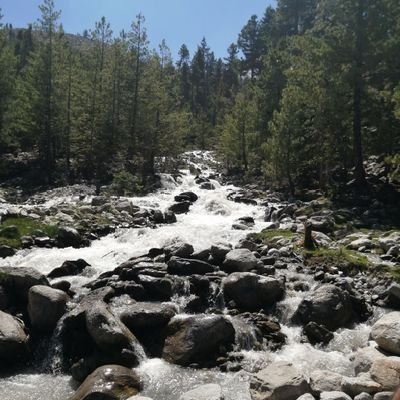 AroojNajmusaqib's profile picture. PhD, Clinical Psychologist
MHPSS, SEL intervention, public health