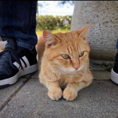 Nagisy12389's profile picture. CoD