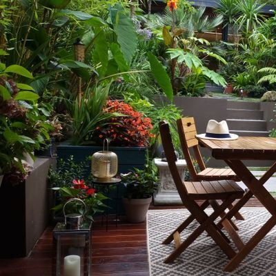 Axiomatic123's profile picture. Tropical garden enthusiast