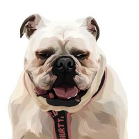Bulldog Evie & Minnie Pearl(@GillespiesPearl) 's Twitter Profile Photo