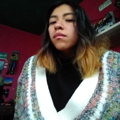 soniiSLG's profile picture. Ideas, creaciones, experiencias y más.🙆🙂