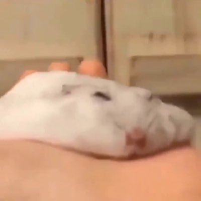 WaffleRatRemake's profile picture. Nothin' much to say. (+18)