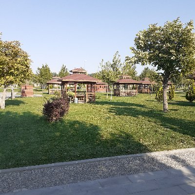 selkah's profile picture. Zamanı gelince ogrenirsin