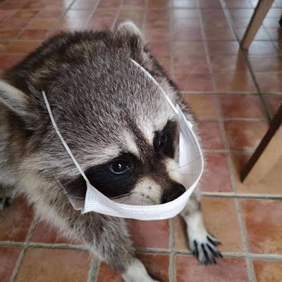 supremyy's profile picture. sup