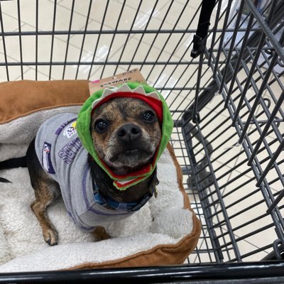 DylzRx's profile picture. 