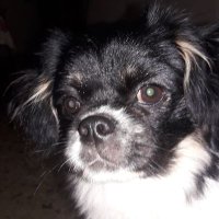 Glo Ria (@gloria04652175) Twitter profile photo