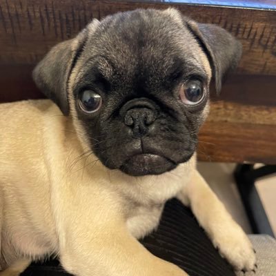 GeneralRoscoPUG Profile Picture