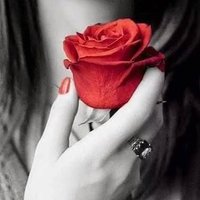 ﮼ احمد (@eb3ody1dl1atgdt) Twitter profile photo