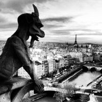 Plebeian (@76gargoyle) 's Twitter Profile Photo