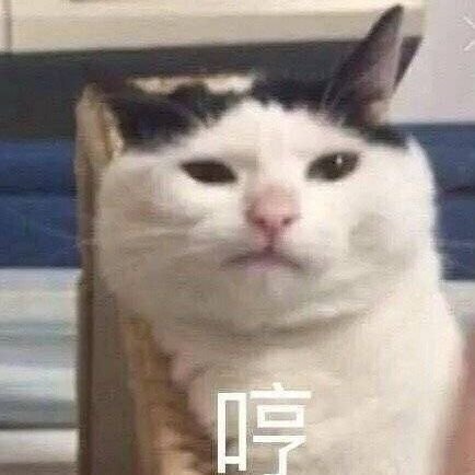 ID读作饭粥。喜欢萌喵萌汪萌妹纸。喜欢JPOP,ARASHI,Liella。LOL,Switch,Steam玩家。业余爱好Coder(.NET)。